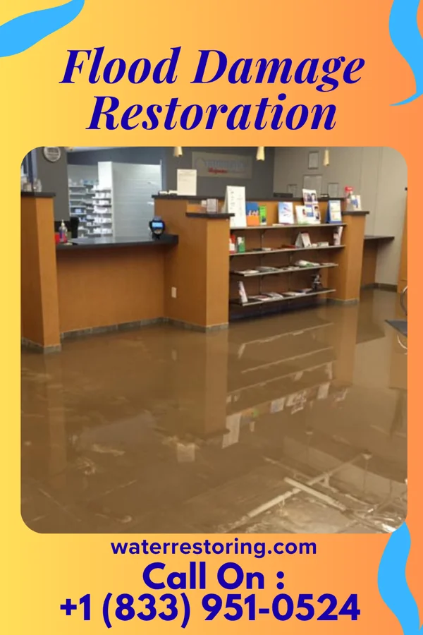 Flood Damage Restoration in South Beach, FL