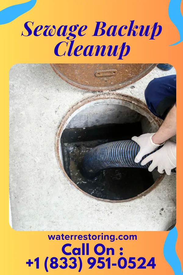 Sewage Backup Cleanup in South Beach, FL